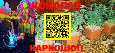 гидра Ликино-Дулёво