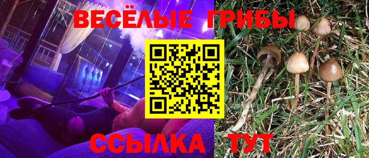 Псилоцибиновые грибы MAGIC MUSHROOMS  Вход с VPN  Галлюциногенные грибы прущие грибы  Ишим 